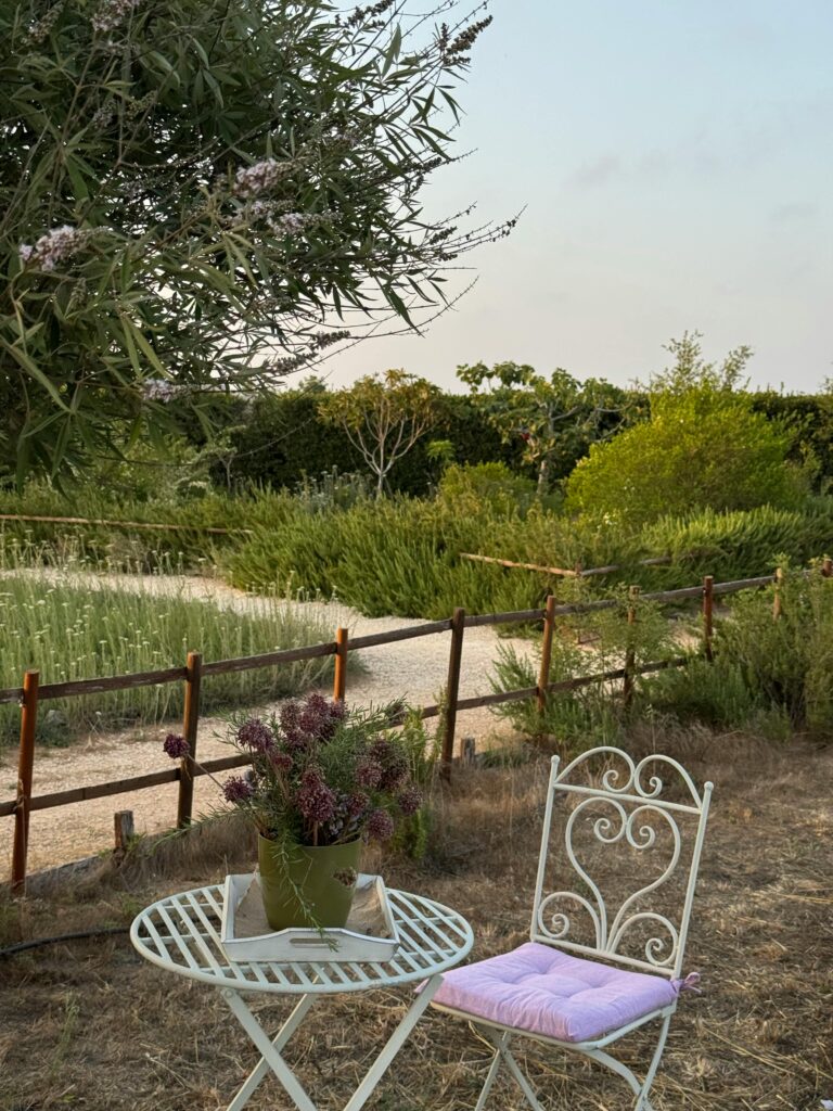 pexels-photo-32569089-32569089 Serene garden scene featuring an iron chair, table, and lush greenery.