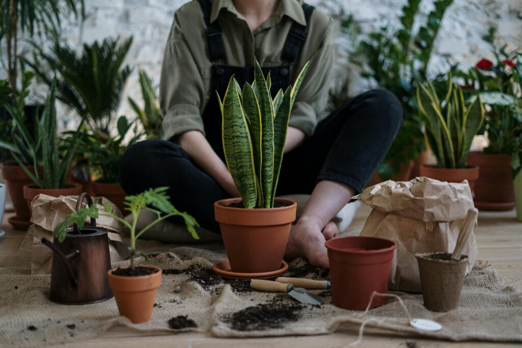 pexels-photo-4503261-4503261 Person sitting indoors surrounded by potted plants and gardening tools, fostering nature